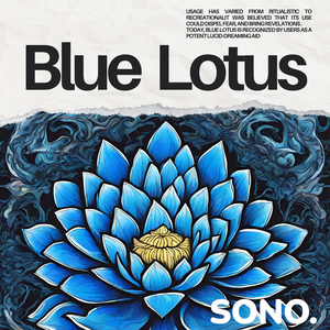 Blue Lotus - An Overview