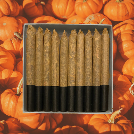 Pumpkin Spice Smokes | Fall Blend | Optional Delta 8