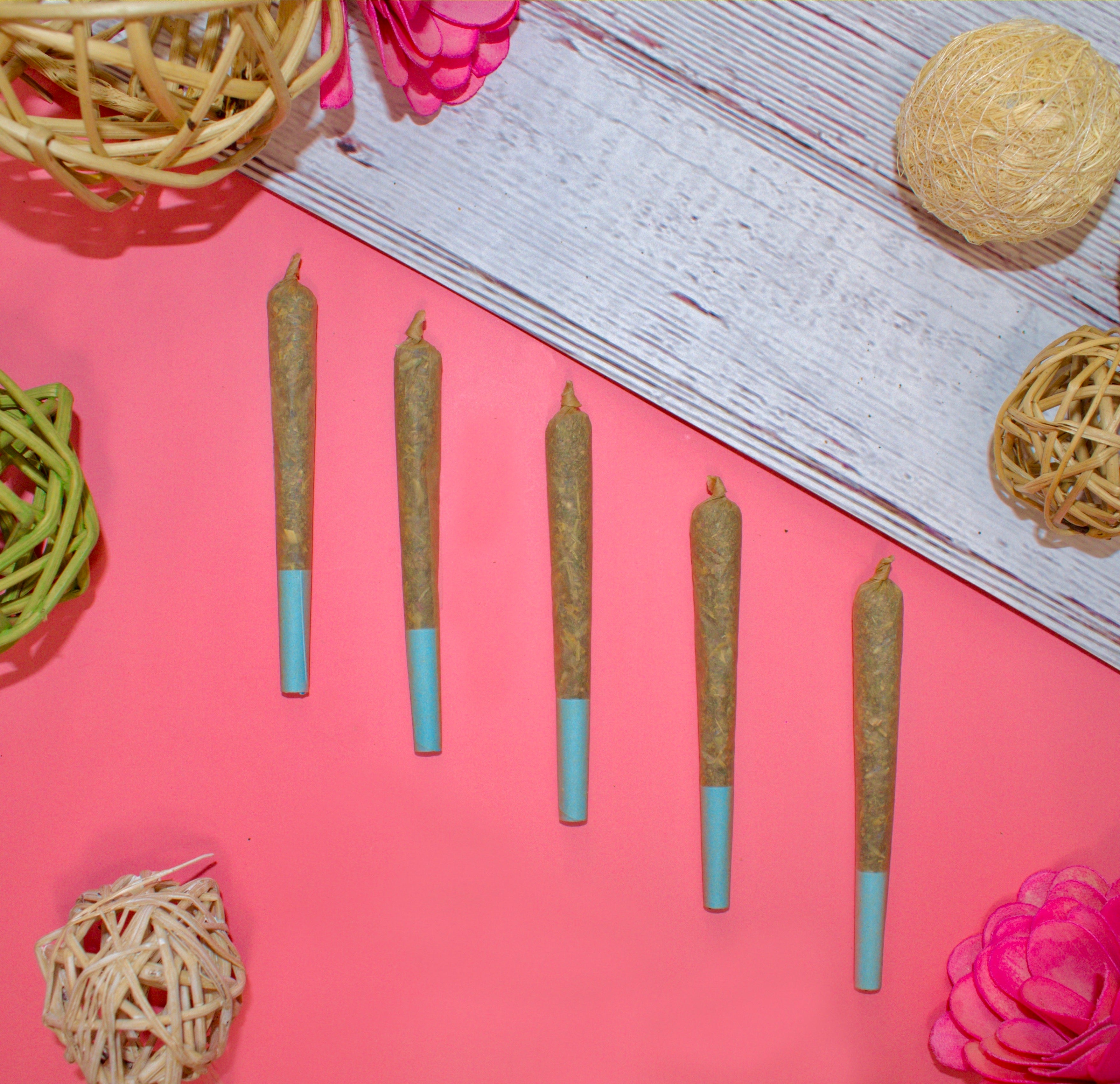 Image Description: On a pink background sits five herbal prerolls wrapped in brown, unbleached plant-fiber paper with blue filters, filled with the herbal smoking blend Time to Chill from the Sono Herbs herbal apothecary, a trans-woman owned shop specializing in tobacco-substitutes. The ingredients inside are: Marigold, Klip Dagga, Rosemary, Mullein, Skullcap & Lavender. Prerolls are also known as Herbal Spliffs, Herbal Cigarettes, Herbs & Flowers smokes, or Herb Tokes.